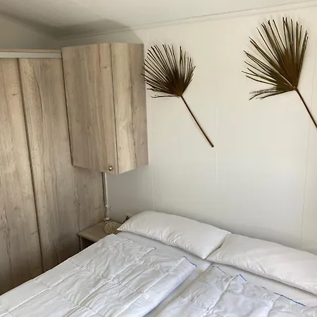 Amici Urlaub Am Effelder Waldsee Lodge