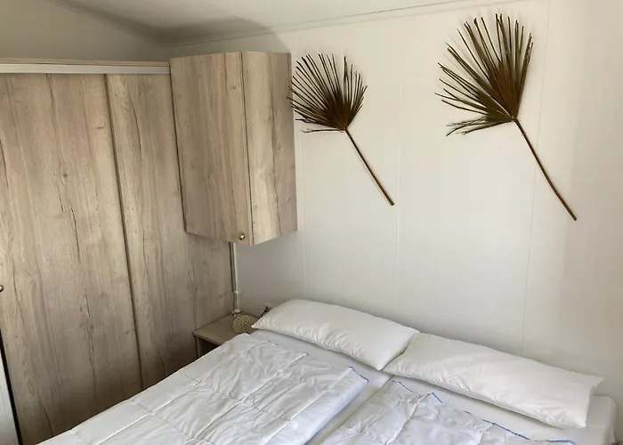 Amici Urlaub Am Effelder Waldsee Orman Evi